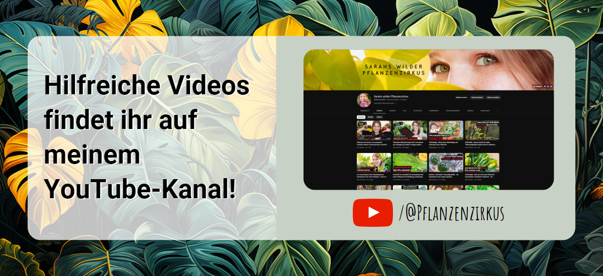 Titelbild - Pflanzenzirkus - YouTube-Kanal Sarahs wilder Pflanzenzirkus