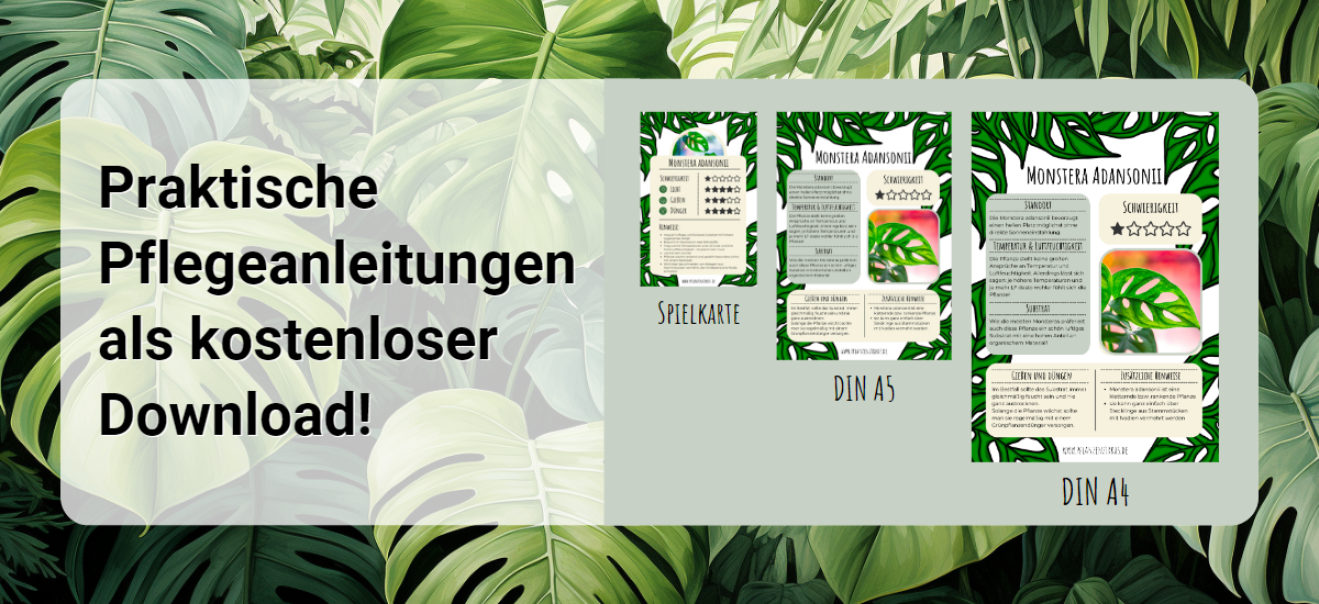 Titelbild - Pflanzenzirkus - Pflegeanleitungen kostenlos zum Download